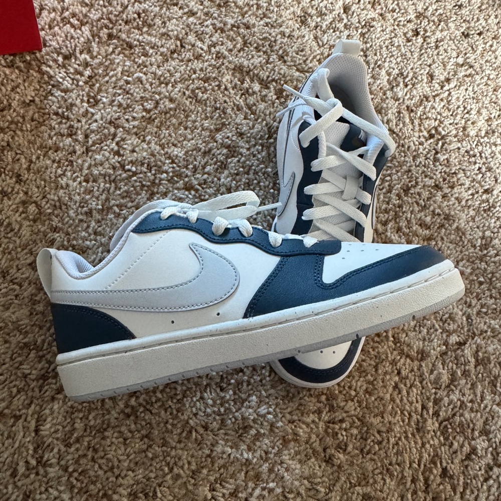 Nike Court Borough Low 2 in Summit White and Pure Platinum